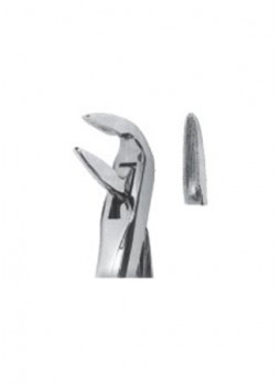 Extracting Forceps